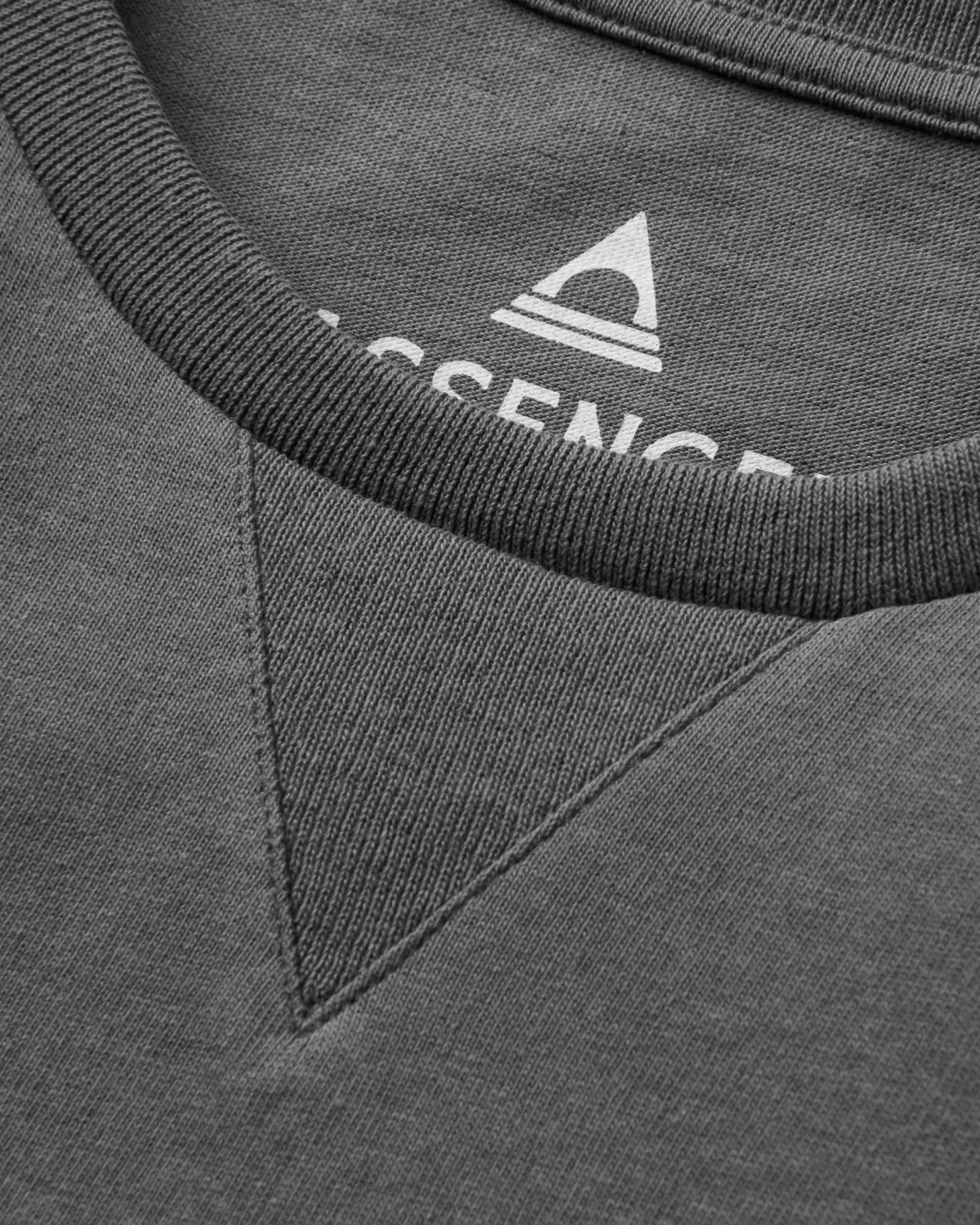 T-Shirts & Tank Tops|Tops & T-Shirts|Passenger Big Leaf Recycled Long Sleeve T-Shirt - Faded Black FadedBlack