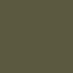 Backpacks & Bags|Backpacks & Bags|Passenger Boondocker Recycled Hip Pack - Khaki Green KhakiGreen