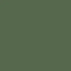 Shorts|Shorts|Passenger Carriso Organic Cotton Shorts - Vineyard Green VineyardGreen