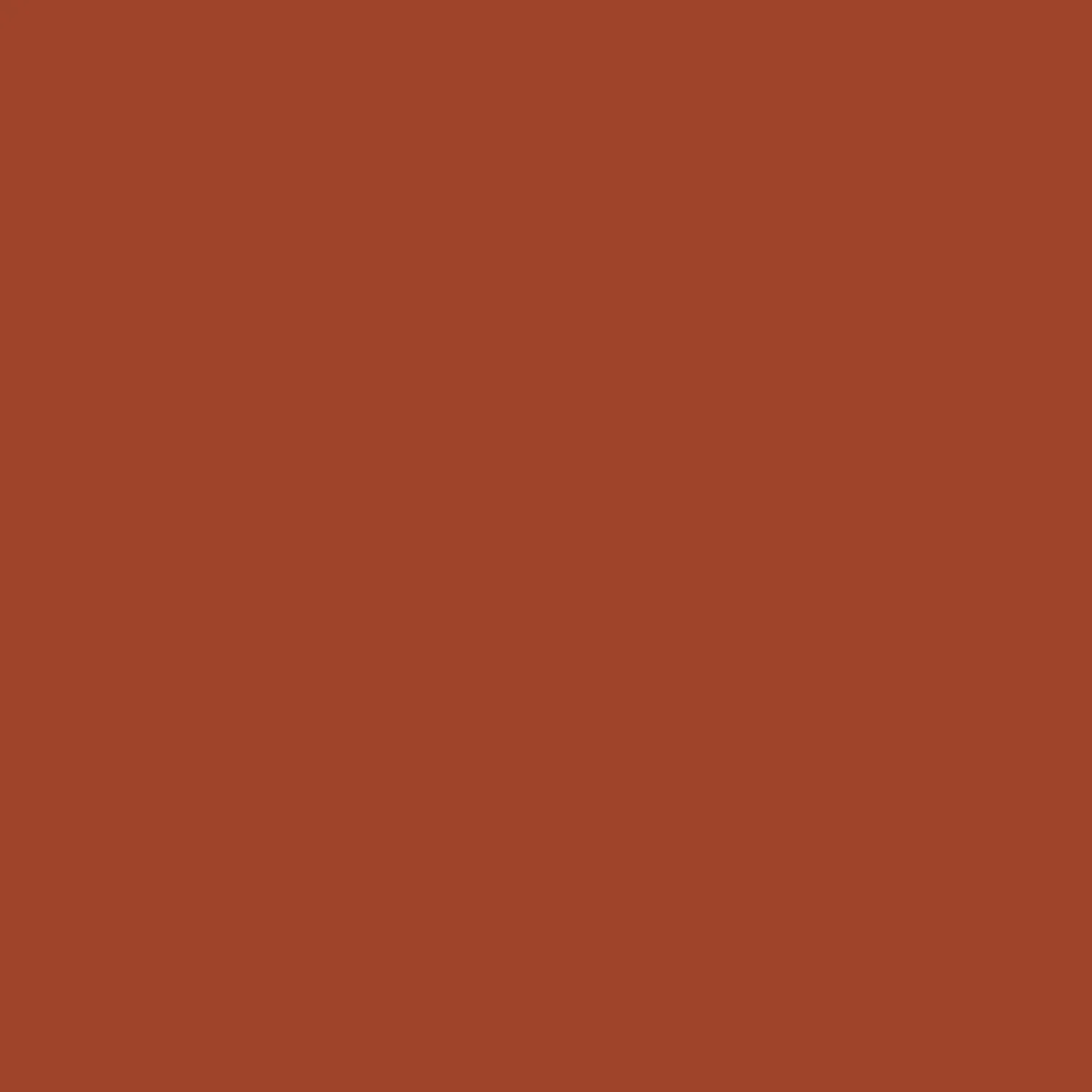Beanies|Beanies|Passenger Compass Recycled Beanie - Rust