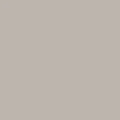 Swimwear|Shorts|Passenger Core All Purpose Short - Pebble Gray PebbleGray