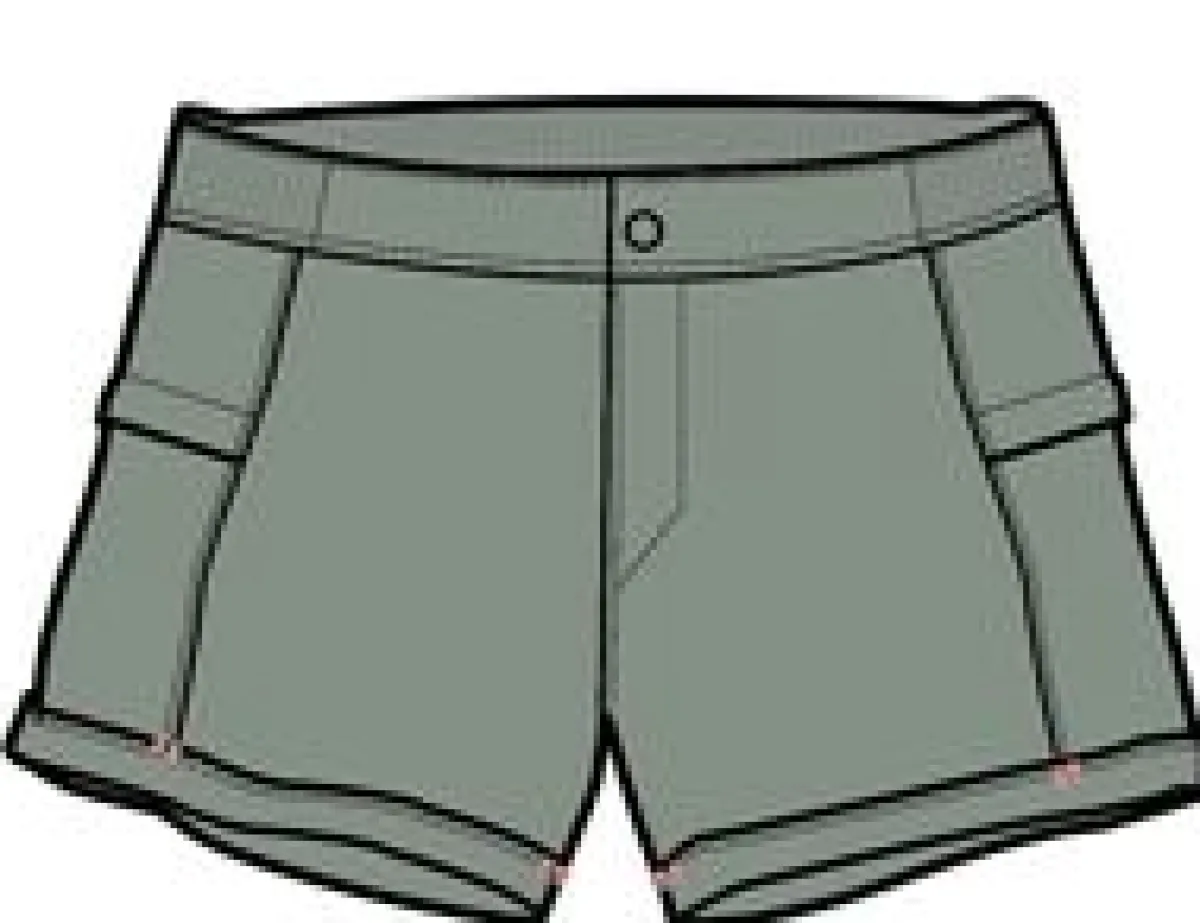 Shorts|Shorts|Passenger Laura All Purpose Shorts - Pistachio