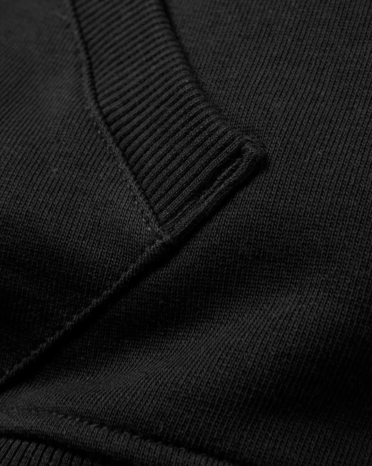 Hoodies & Sweatshirts|Passenger Made To Roam Hoodie - Black
