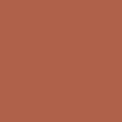 T-Shirts & Tank Tops|T-Shirts & Tank Tops|Passenger Odyssey Recycled Cotton T-Shirt - Burnt Orange BurntOrange