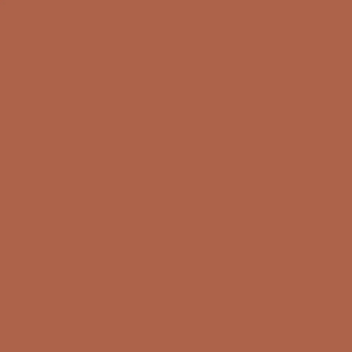 T-Shirts & Tank Tops|T-Shirts & Tank Tops|Passenger Odyssey Recycled Cotton T-Shirt - Burnt Orange BurntOrange