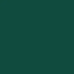 Outdoor Kitchenware|Passenger Original Ocean Bottle 500ml - Forest Green ForestGreen