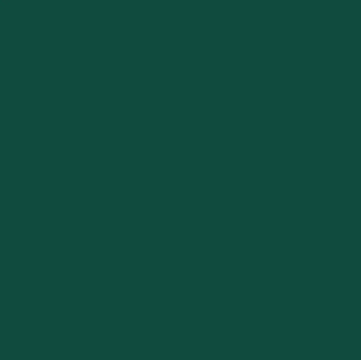 Outdoor Kitchenware|Passenger Original Ocean Bottle 500ml - Forest Green ForestGreen