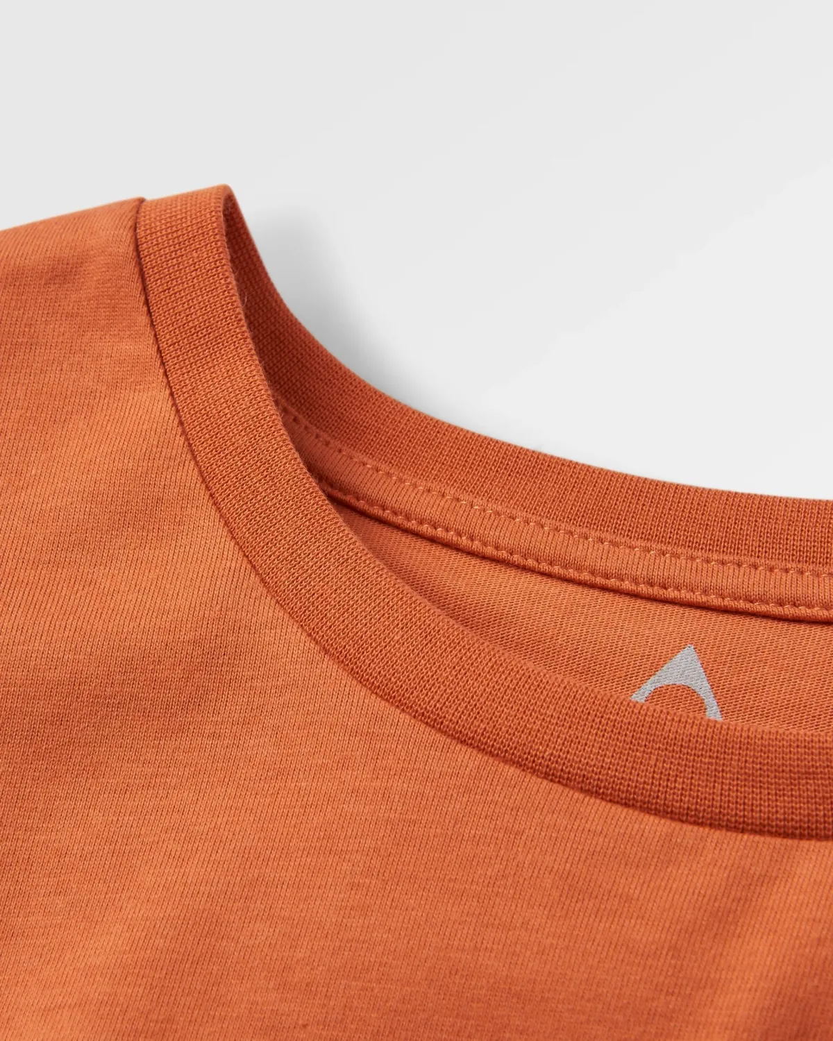 T-Shirts & Tank Tops|Passenger Phoenix Organic Cotton T-Shirt - Burnt Orange BurntOrange