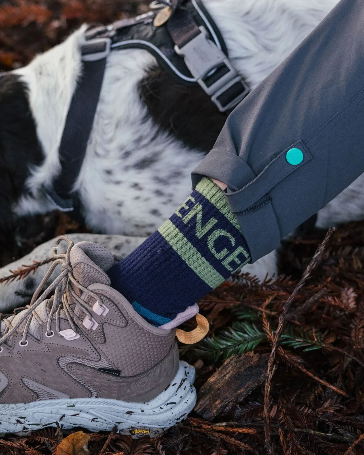 Socks|Passenger Sierra Active Socks - Tidal Blue TidalBlue