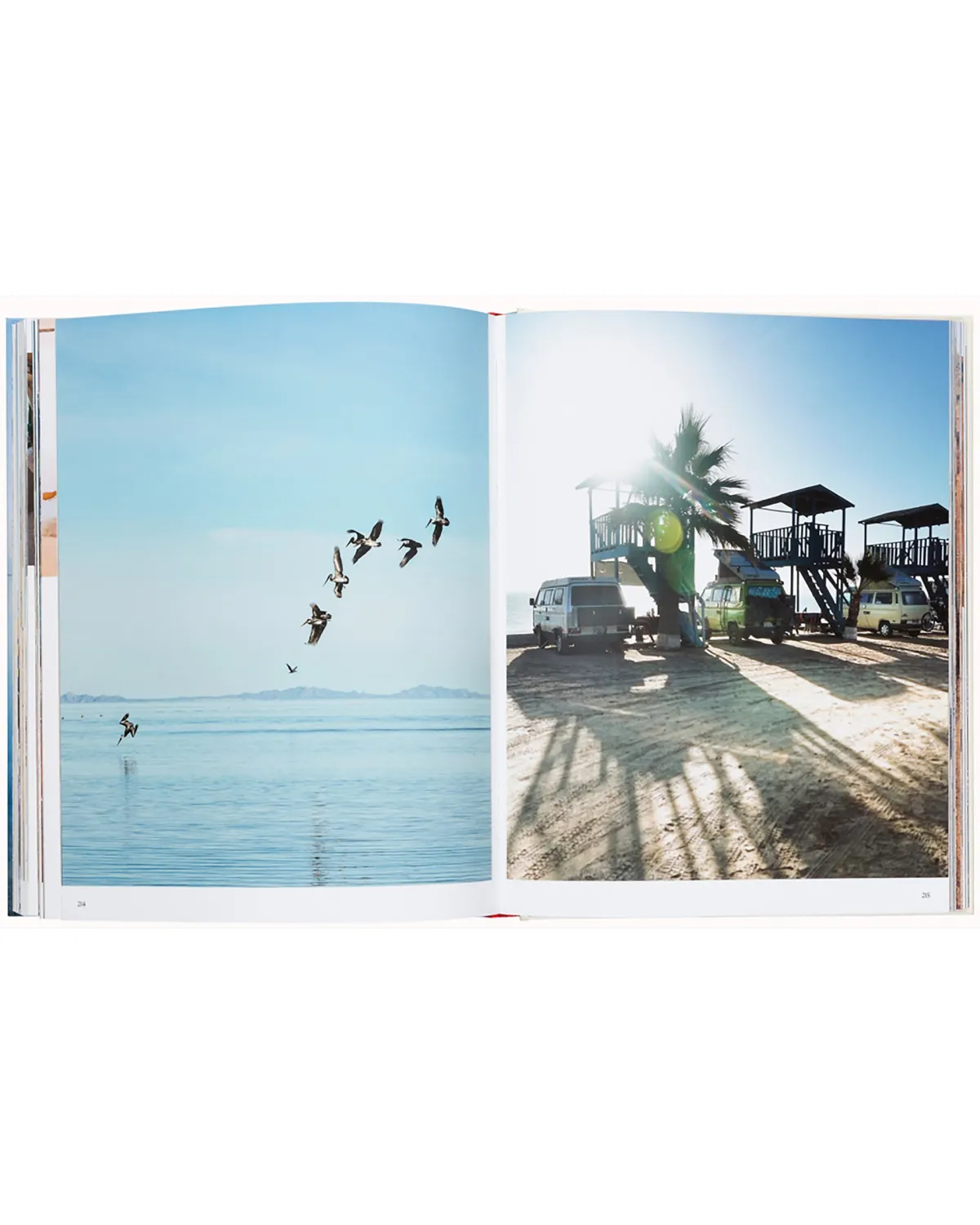 Books & Magazines|Passenger The Getaways TheGetaways