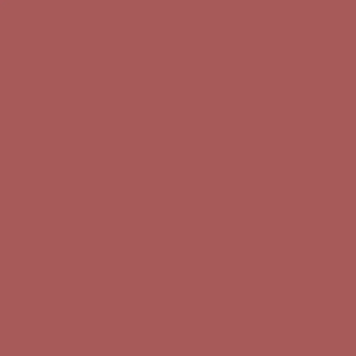 T-Shirts & Tank Tops|Passenger Yuca Recycled Cotton T-Shirt - Mineral Red MineralRed